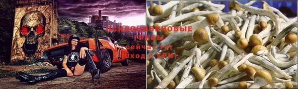 ALPHA-PVP Бородино