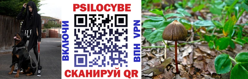 Псилоцибиновые грибы MAGIC MUSHROOMS  Луховицы 